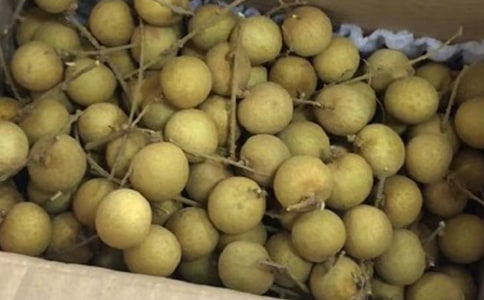 �Ґ۹��l(xi��ng)����������