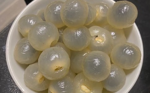 龍眼家鄉(xiāng)作文【集合3篇】