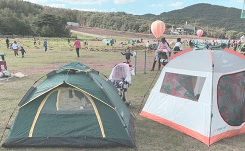 ¶�I(y��ng)С�W(xu��)���ąR����ƪ