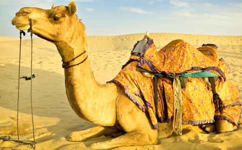 �P(gu��n)���T��400������