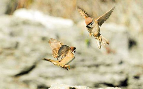 ��ȸ���꼉(j��)����