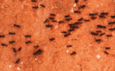 ���ڕ����xΛρ���ľ��x