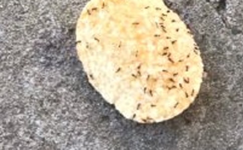 �а��Α�(y��u)��̰����̌W��˼���OӋΛρС����