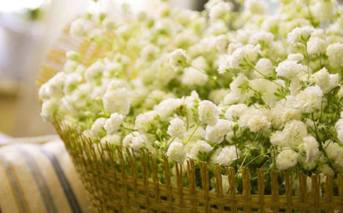 �M���Ǵ�������꼉����