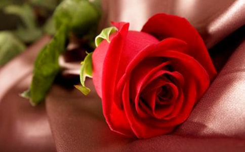 ��һ�o����õ��