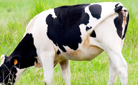 ���������������m(x��)������550��