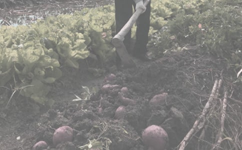 �r(n��ng)�����V�Z150��