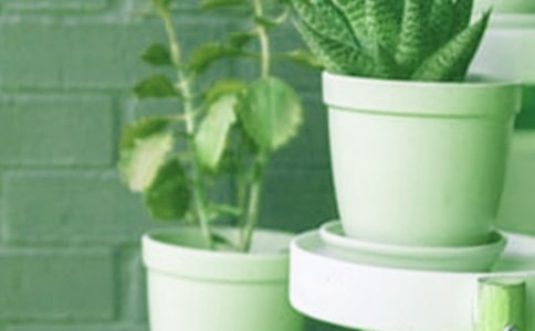 �����T����������300����ƪ