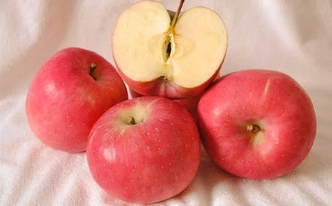 《蘋果樹上的外婆》讀后感400字(精選20篇)