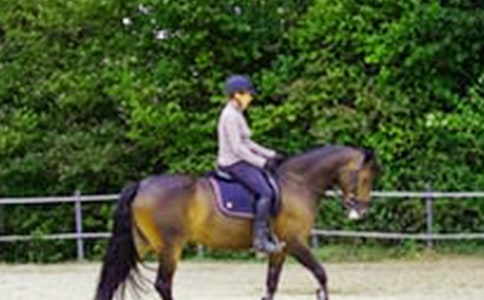有關(guān)騎馬的作文集合10篇