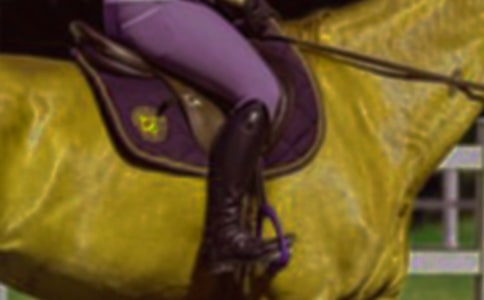 小學優(yōu)秀作文:一次草原騎馬