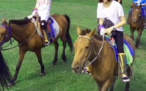 ��(sh��)�õ��T�R������300�ּ��\��ƪ