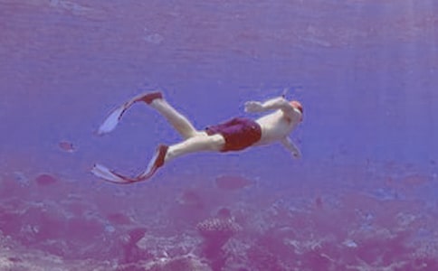 �����]����ˮ����500����ƪ