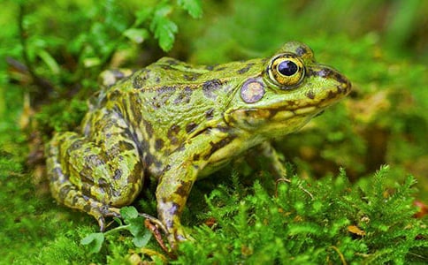 �����ܿ������̌W�OӋ�K�̰棨ͨ��20ƪ��