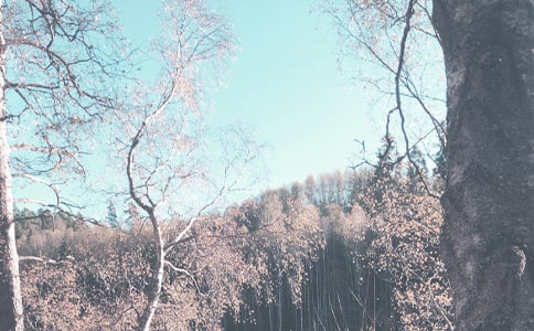 ���(hu��)��(sh��)�`���＾����Ӌ(j��)��