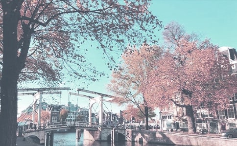 С�W(xu��)��ȫ�＾����Ӌ��9ƪ