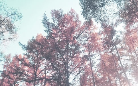 ����(sh��)�á��＾����Ӌ(j��)���ϼ���ƪ