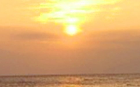 ����������һ����600��