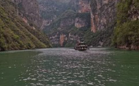 ���{���̵Ľ�B��(d��o)���~