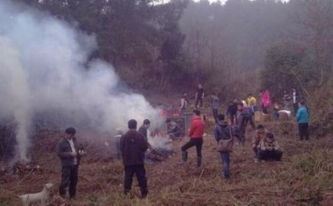 掃墓作文300字分享