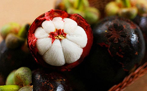 美麗的.茶山竹海初中作文