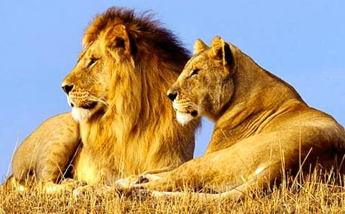 �˽̰����n��(bi��o)���꼉(j��)�σ�(c��)���{�Ӻ�¹���̌W(xu��)�O(sh��)Ӌ(j��)