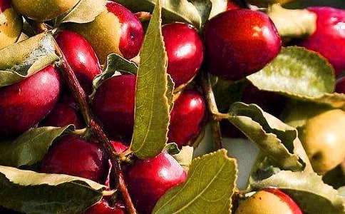 ˮ����؛��ͬ��ģ��