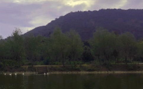 寫(xiě)水庫(kù)的作文400字(通用7篇)