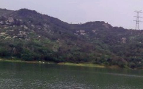 美麗的陡河水庫(kù)作文