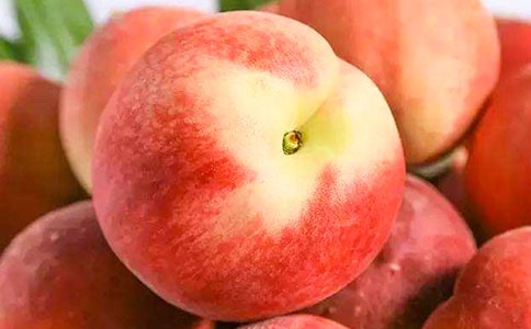 家鄉(xiāng)的水蜜桃作文500字(精選29篇)