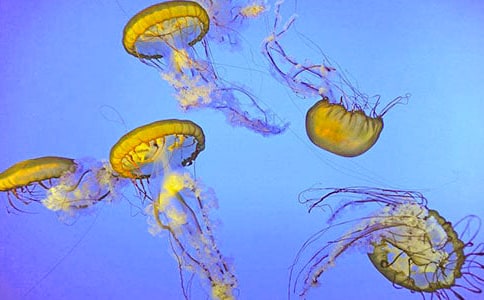 ��ˮĸ��(��i)����500��