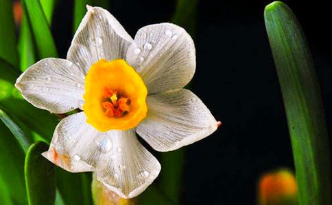 С�W(xu��)���������ģ����������ˮ��