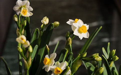 ���������ˮ������2ƪ