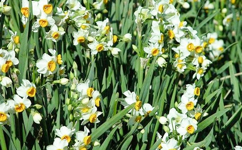 ˮ�ɻ��_��������