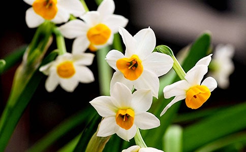 ������ˮ�ɻ�����(����15ƪ)