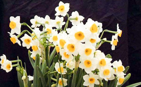 �����ˮ�ɻ�����300��