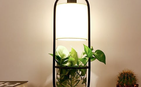 С�_(t��i)��С�W(xu��)��(y��u)������