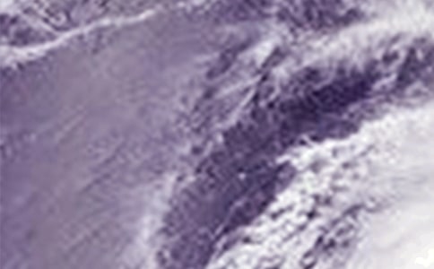 小學(xué)關(guān)于臺風(fēng)的作文(精選34篇)