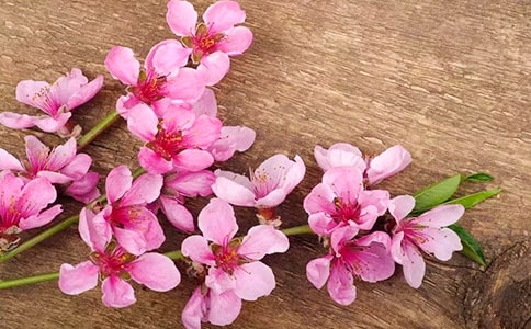 �����p���������һ�