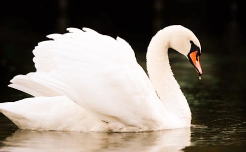 �����Z�Ĺ��¡��x���300�֣�ͨ��8ƪ��