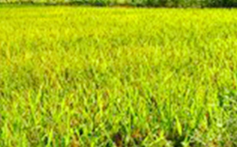 ��Ұ�L��-���꼉-�f����