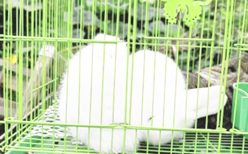 ��������ȥɢ���а�̰�