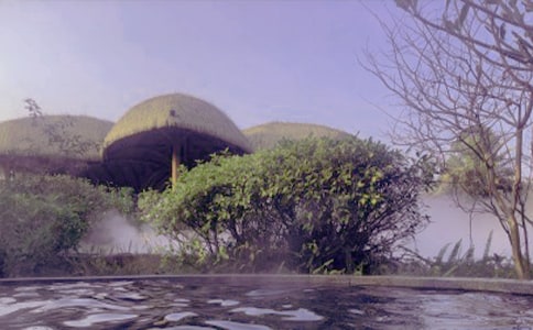 ��Ȫ�������Z