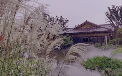 �ݜ�Ȫ������300�֣�ͨ��33ƪ��