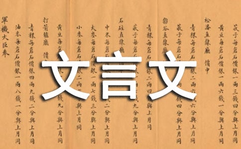 �|���x��������������600��