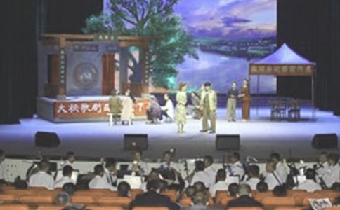 觀看文藝演出的觀后感(精選15篇)