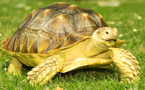 �����w�Ğ������f(shu��)�n��