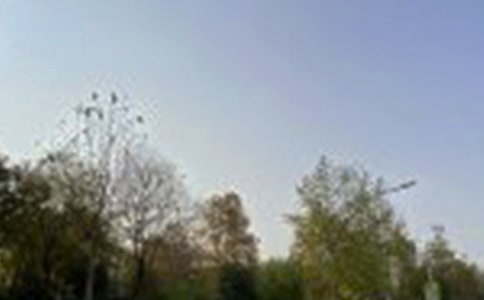 關(guān)于朋友圈午安句子匯總(通用70句)