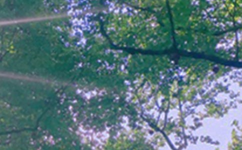 ����Ȧ�簲���ţ�ͨ��30�䣩