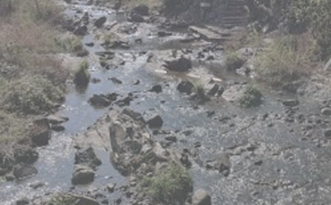 漸漸懂得小溪流水就是生活散文